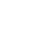 brunswick-logo