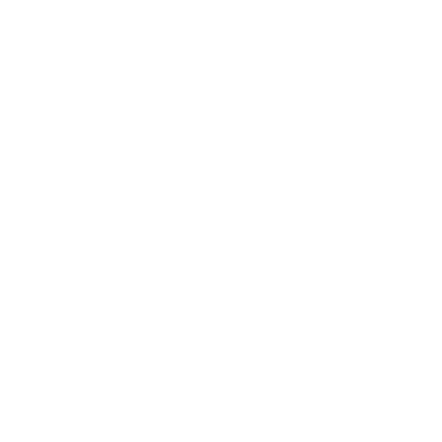 brunswick-logo